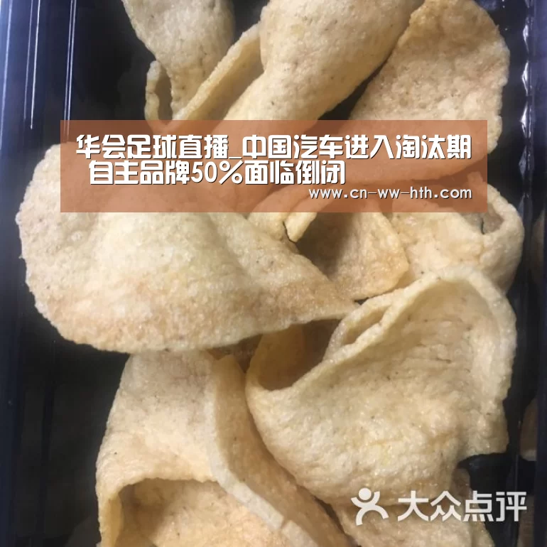 华体会体育直播